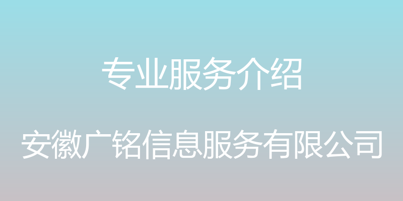 专业服务介绍 - 安徽广铭信息服务有限公司